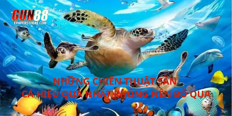 Những chiến thuật săn cá hiệu quả nhất không nên bỏ qua